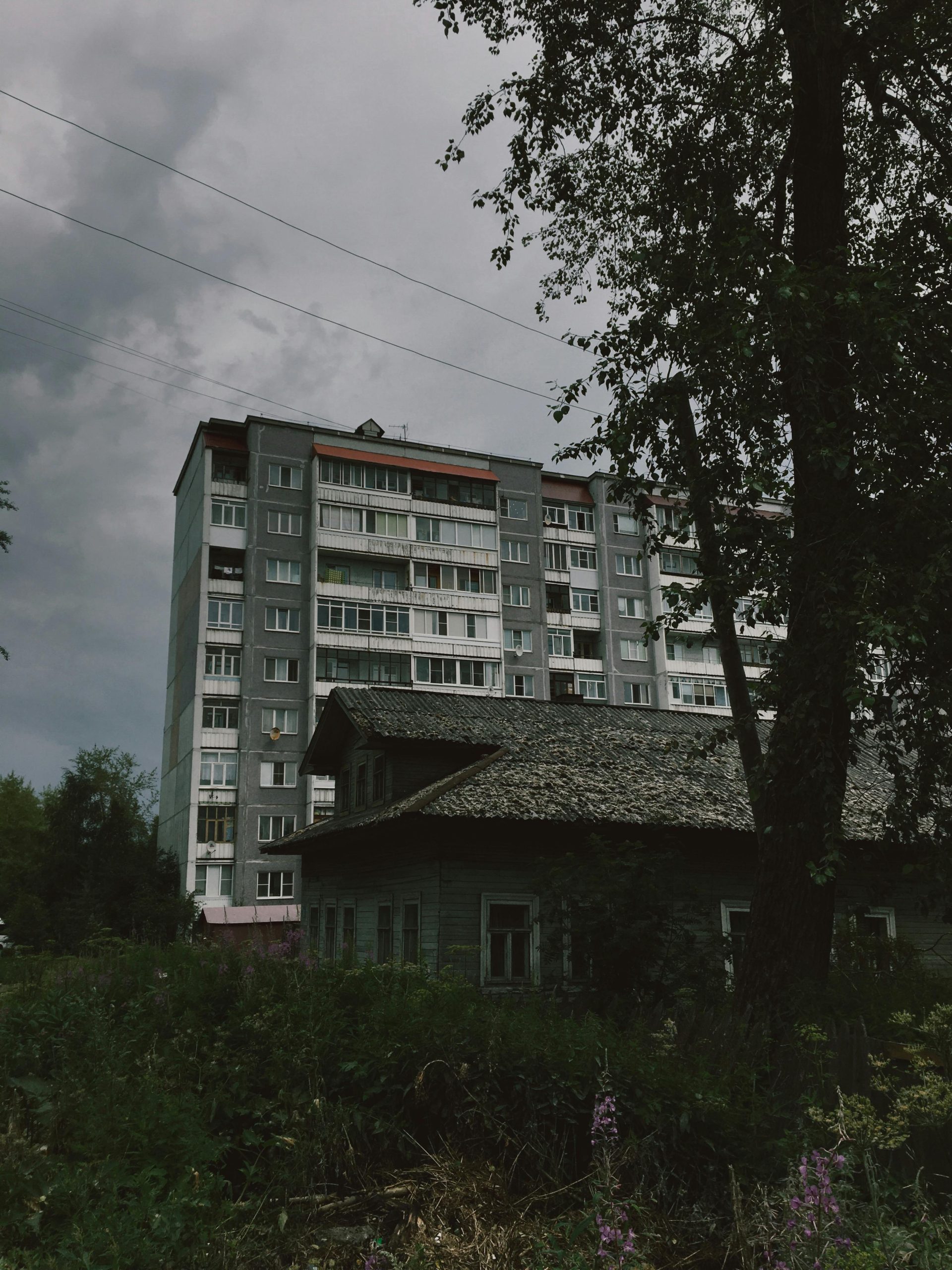 Uploaded image